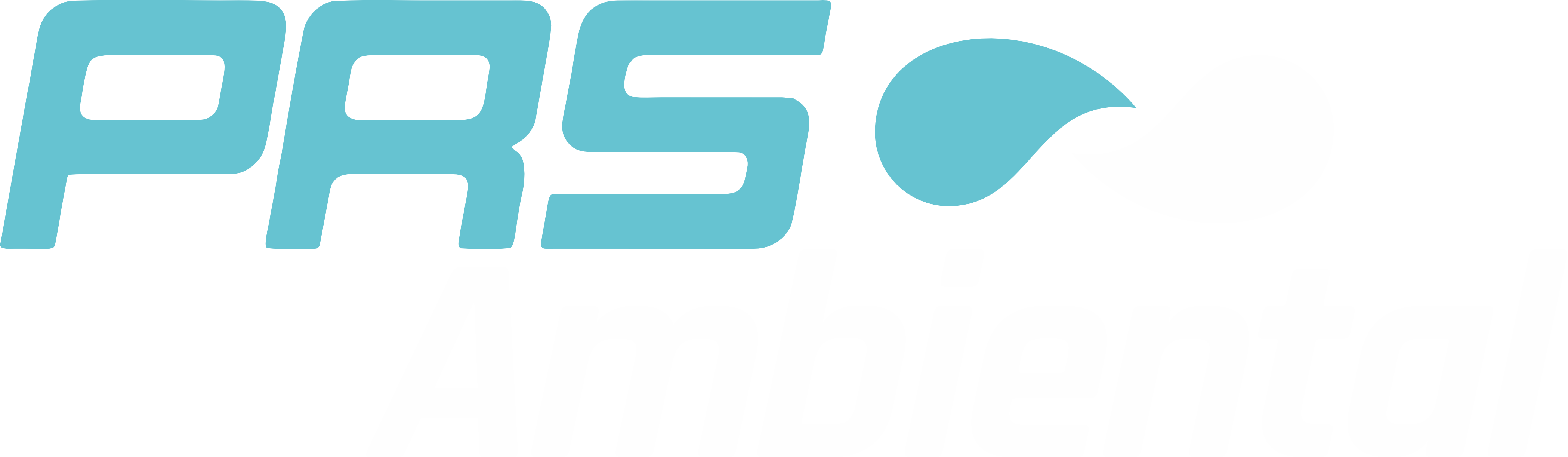 prs logo novo